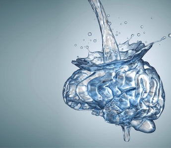 💧¿Hidratación cerebral? Así afecta la hidratación en tu cognición.